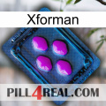 Xforman 04